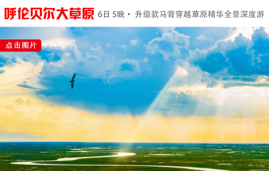 升级马背6日.png